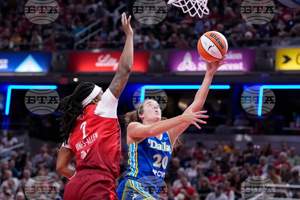 Wings Fever Basketball