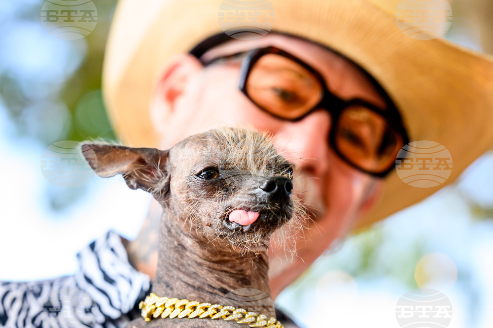 Ugly Dog Contest