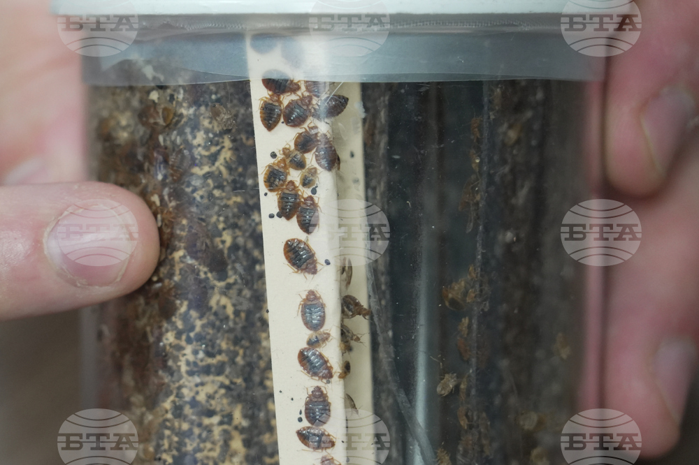 Be Well-Bedbugs