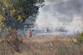 Курортен комплекс Слънчев бряг - пожар