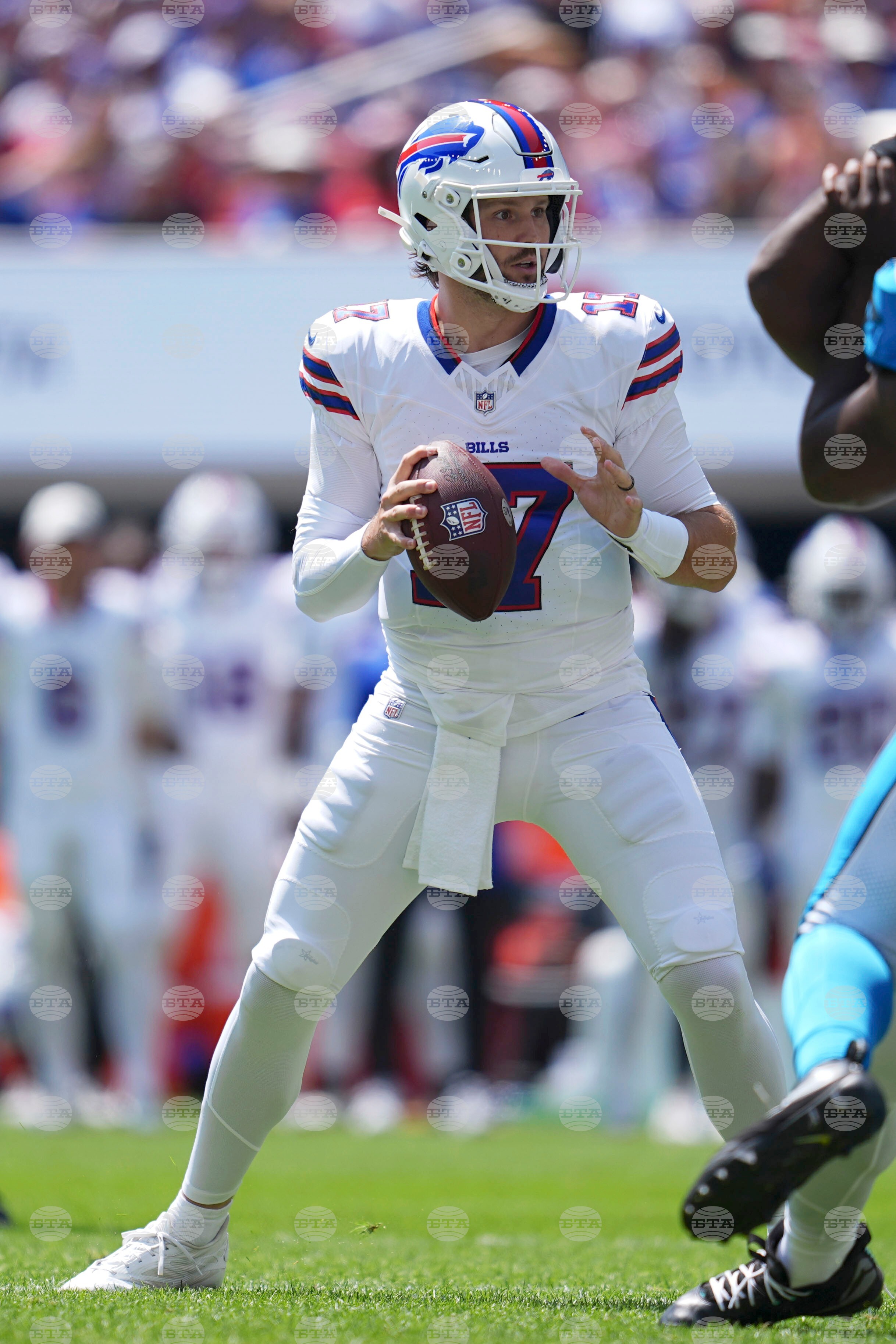 Panthers Bills Football