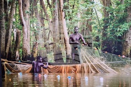 Варна - „Далеч от Африка" - изложба