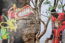 Варна - „Далеч от Африка" - изложба