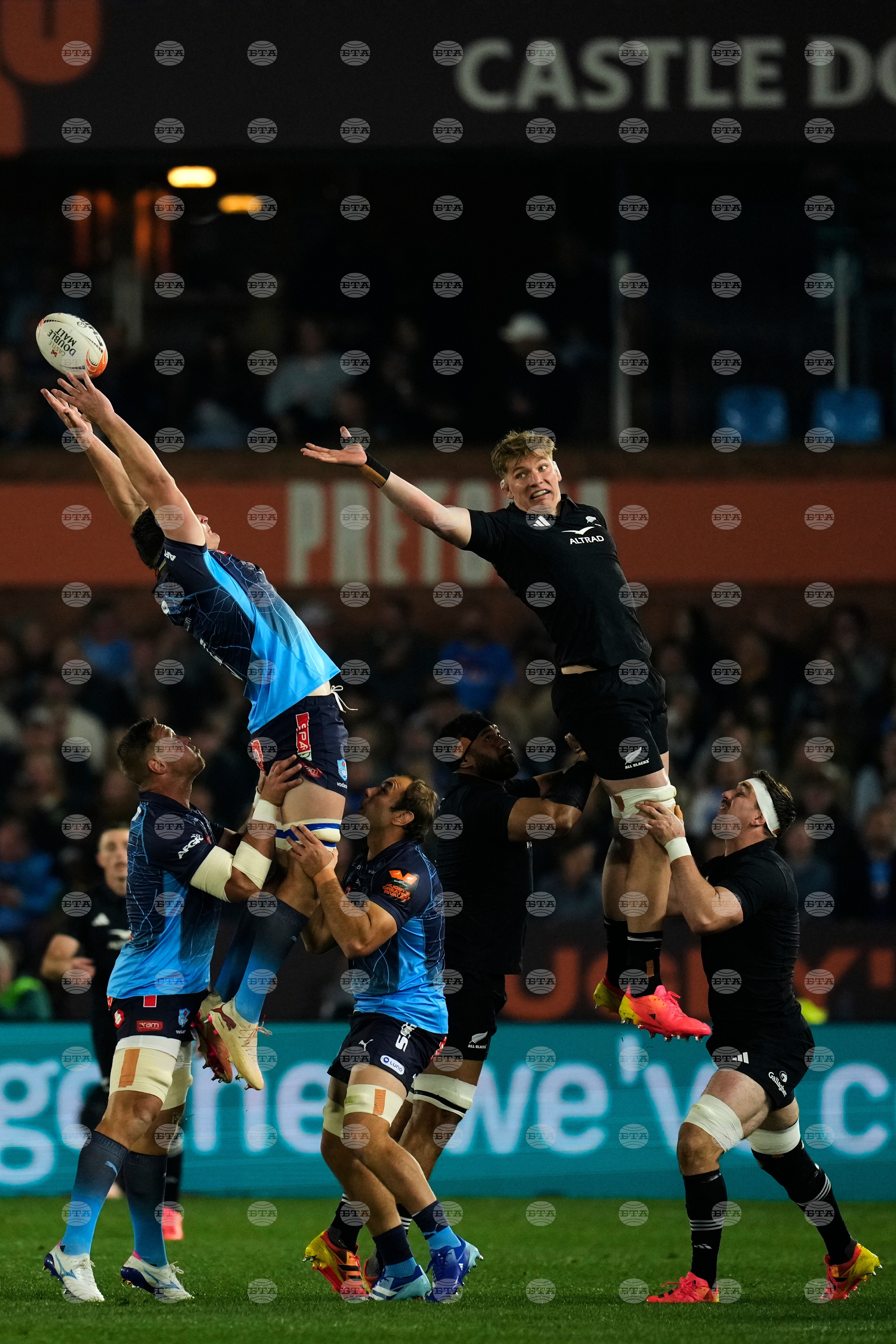 South Africa New Zealand Rugby