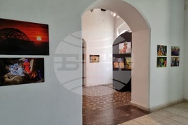 Варна - „Далеч от Африка" - изложба