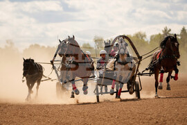 APTOPIX Russia Harness Racing