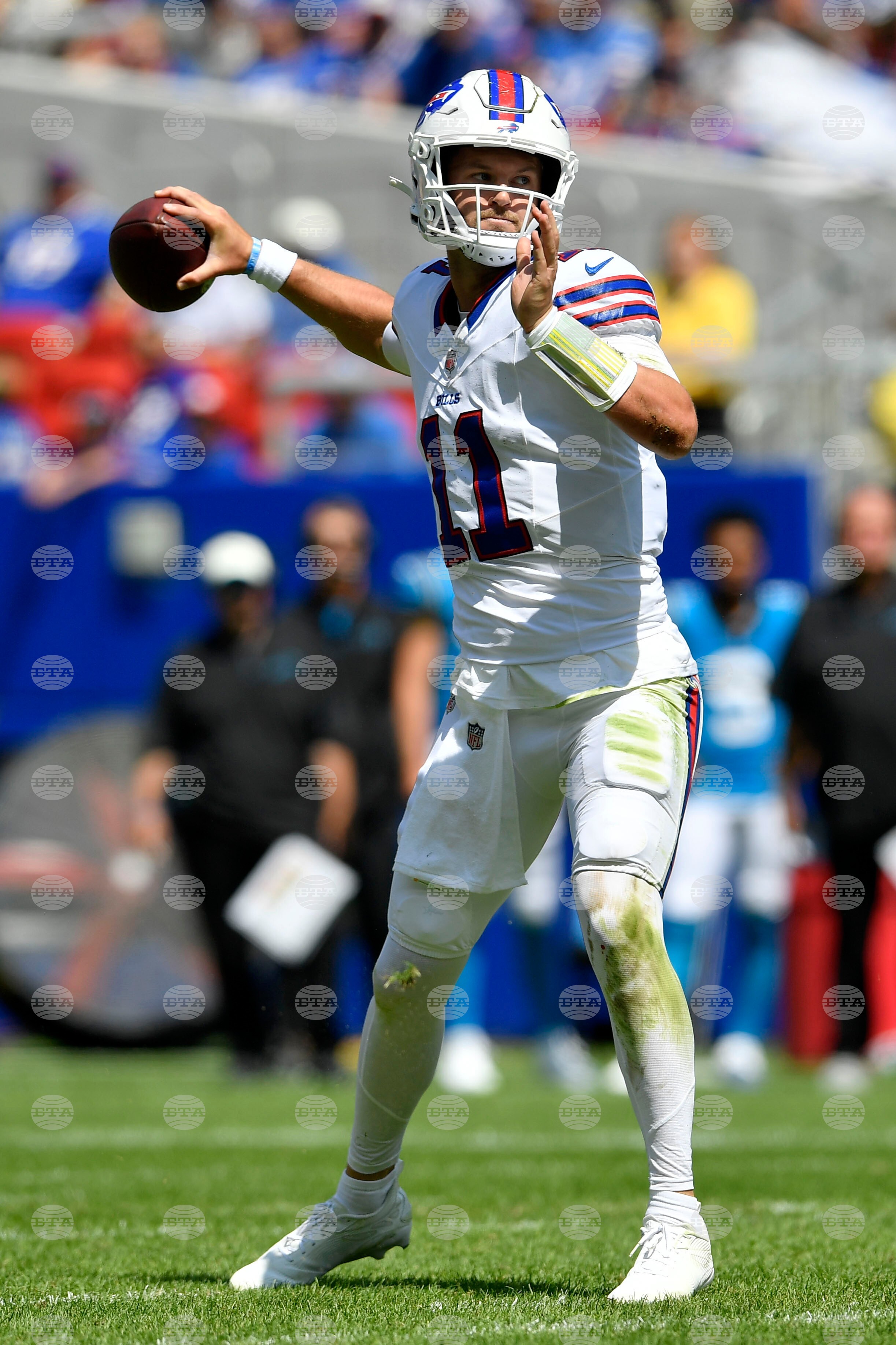 Panthers Bills Football
