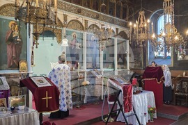 Село Антимово - Света Богородица „Всецарица“ - икона - посрещане