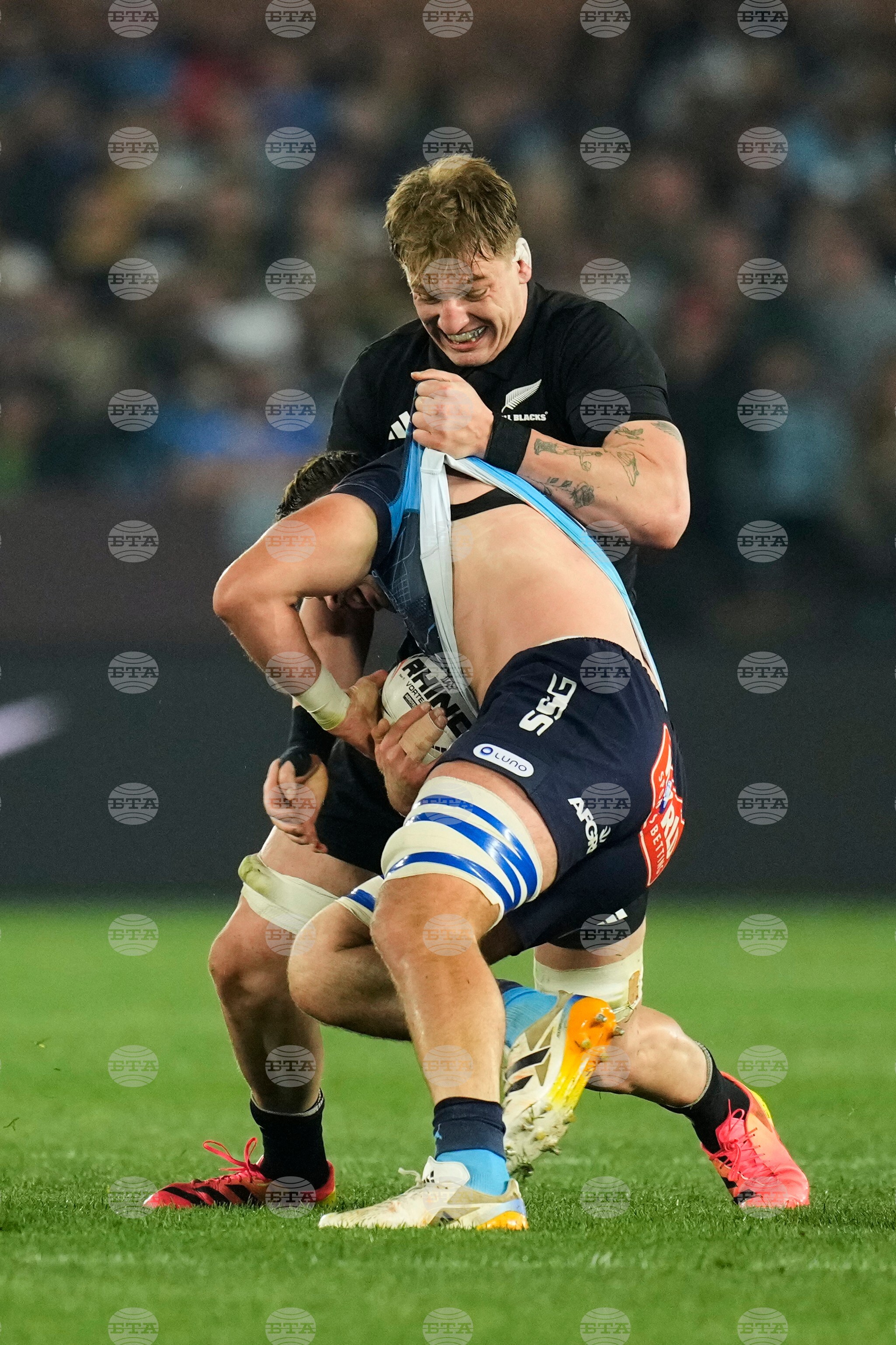 South Africa New Zealand Rugby