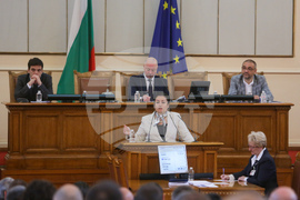 Народно събрание - заседание - Десислава Танева