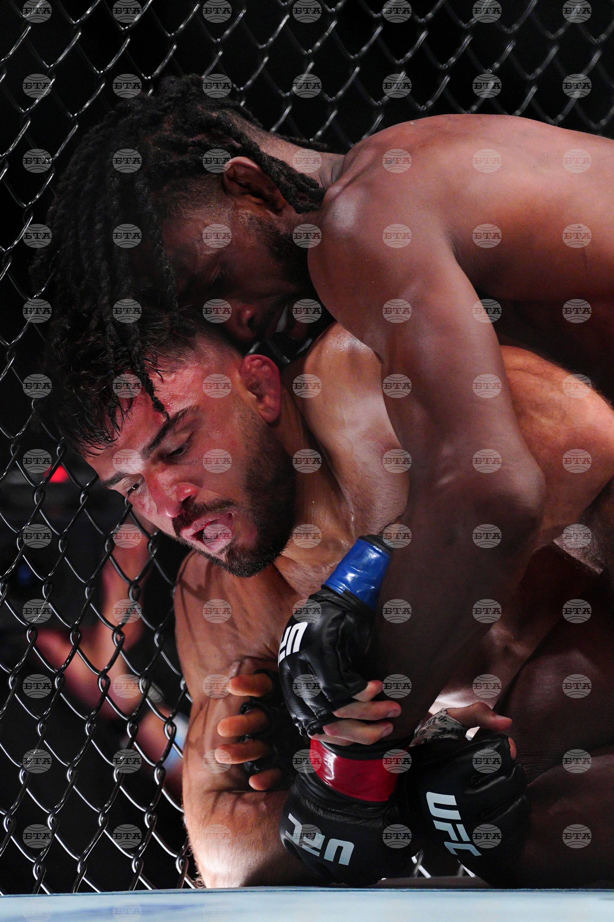 UFC 330 Mixed Martial Arts