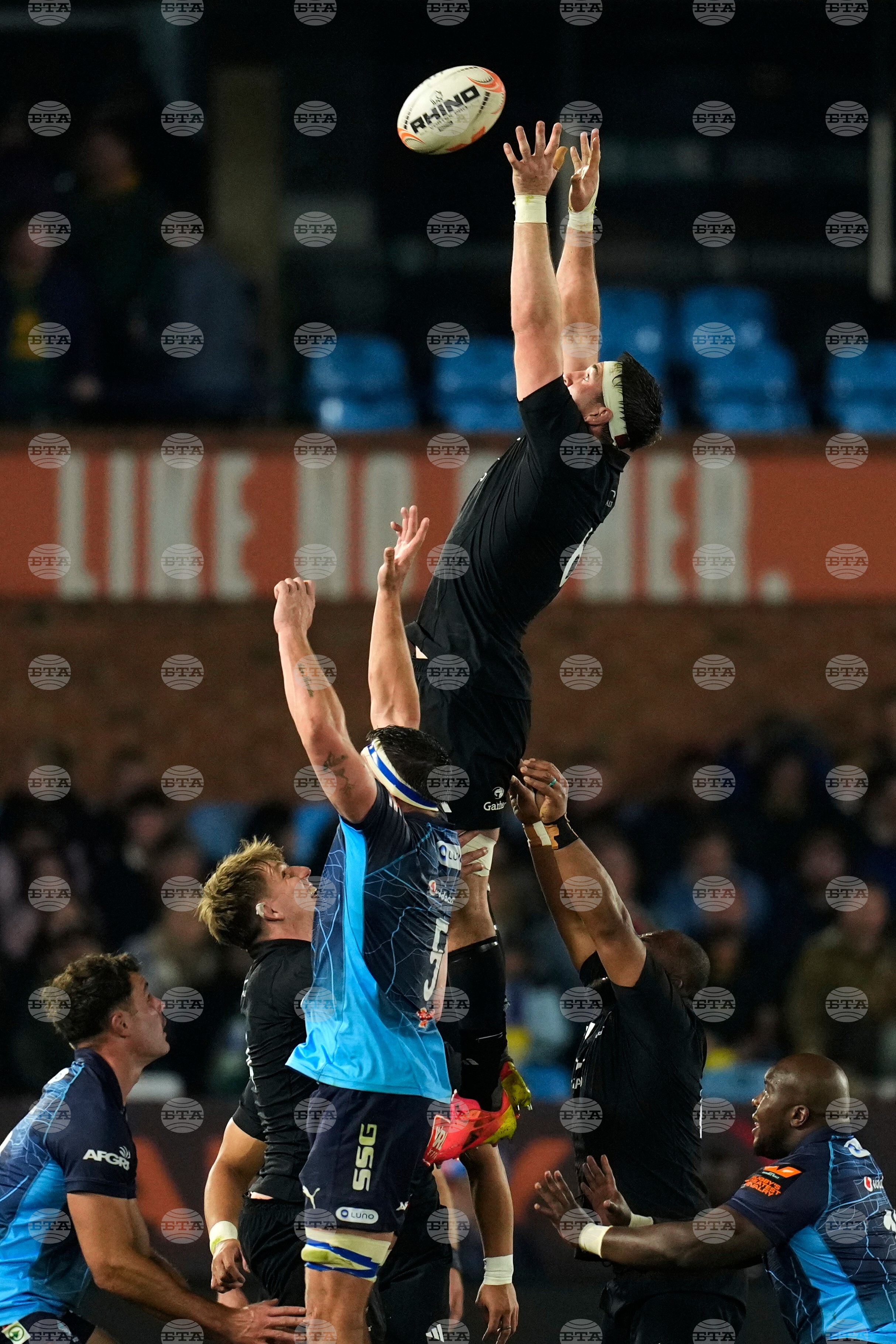 South Africa New Zealand Rugby