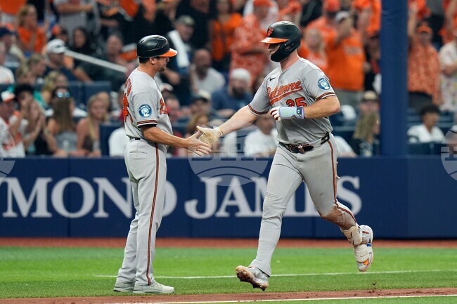 Orioles Rays Baseball