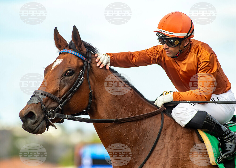 Del Mar Horse Racing