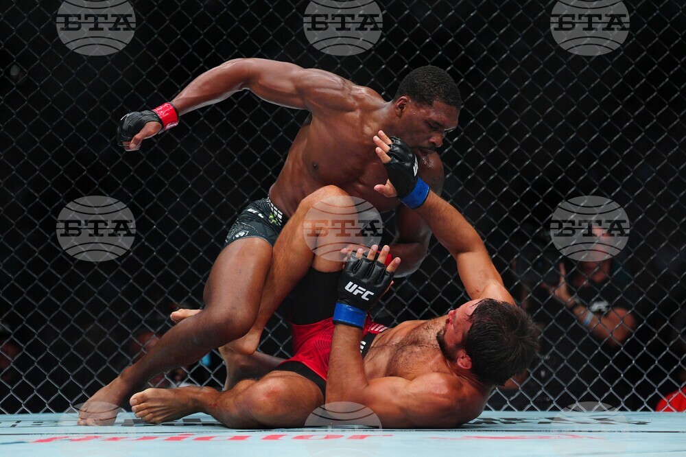 UFC 330 Mixed Martial Arts