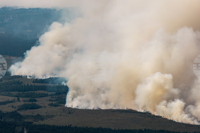 Germany Belgium Europe Wildfires