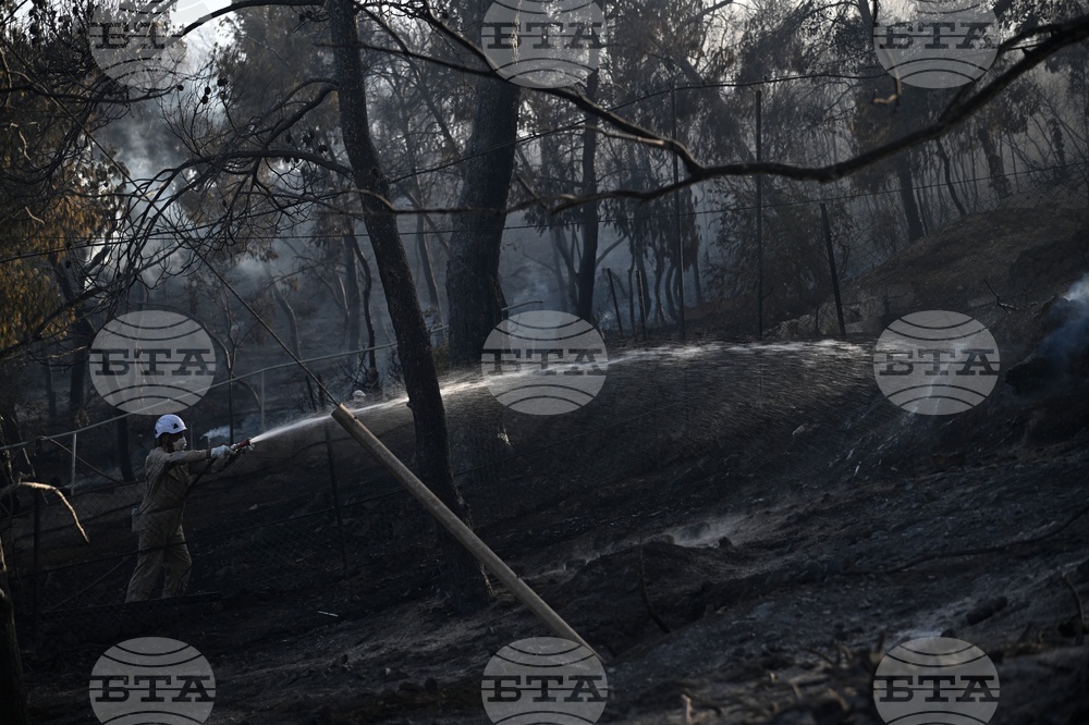 Greece Wildfire