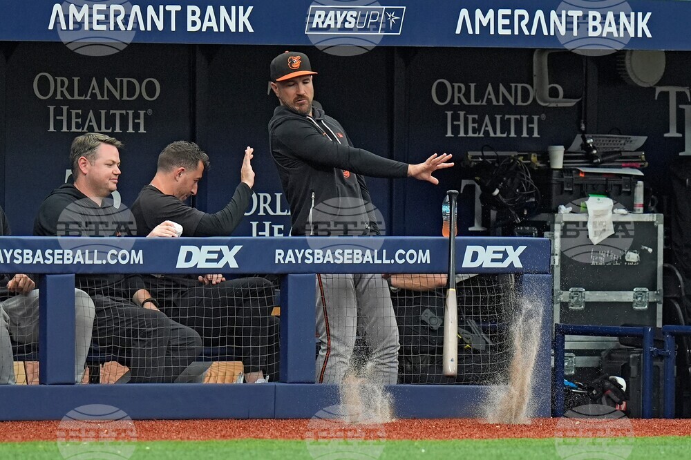 Orioles Rays Baseball