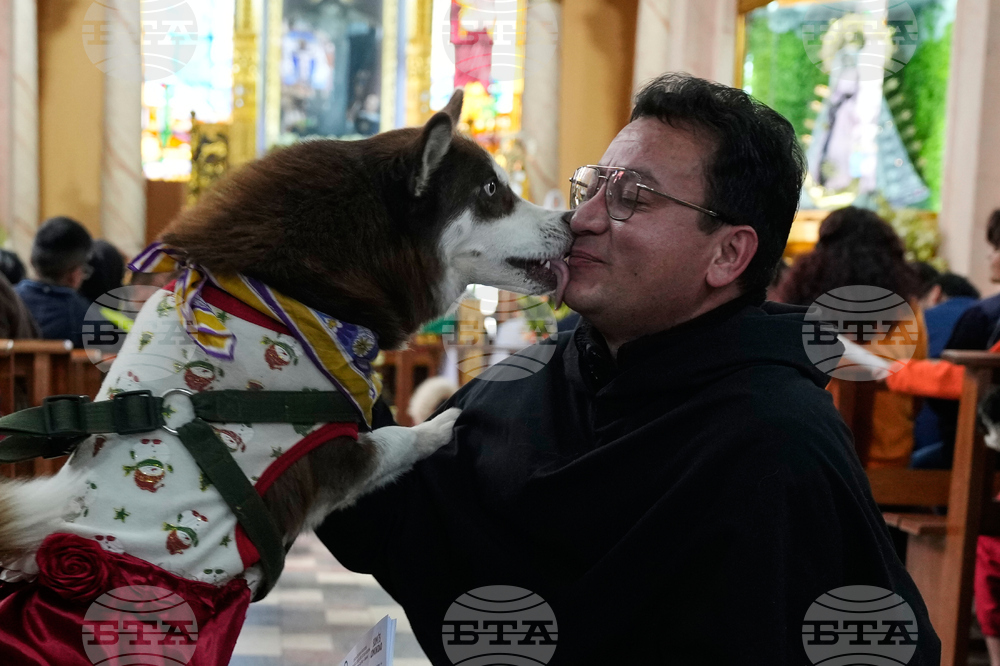 Bolivia Dog Day