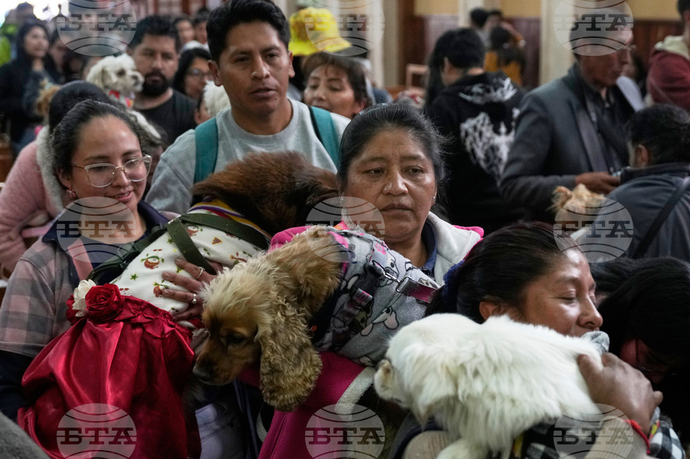 Bolivia Dog Day