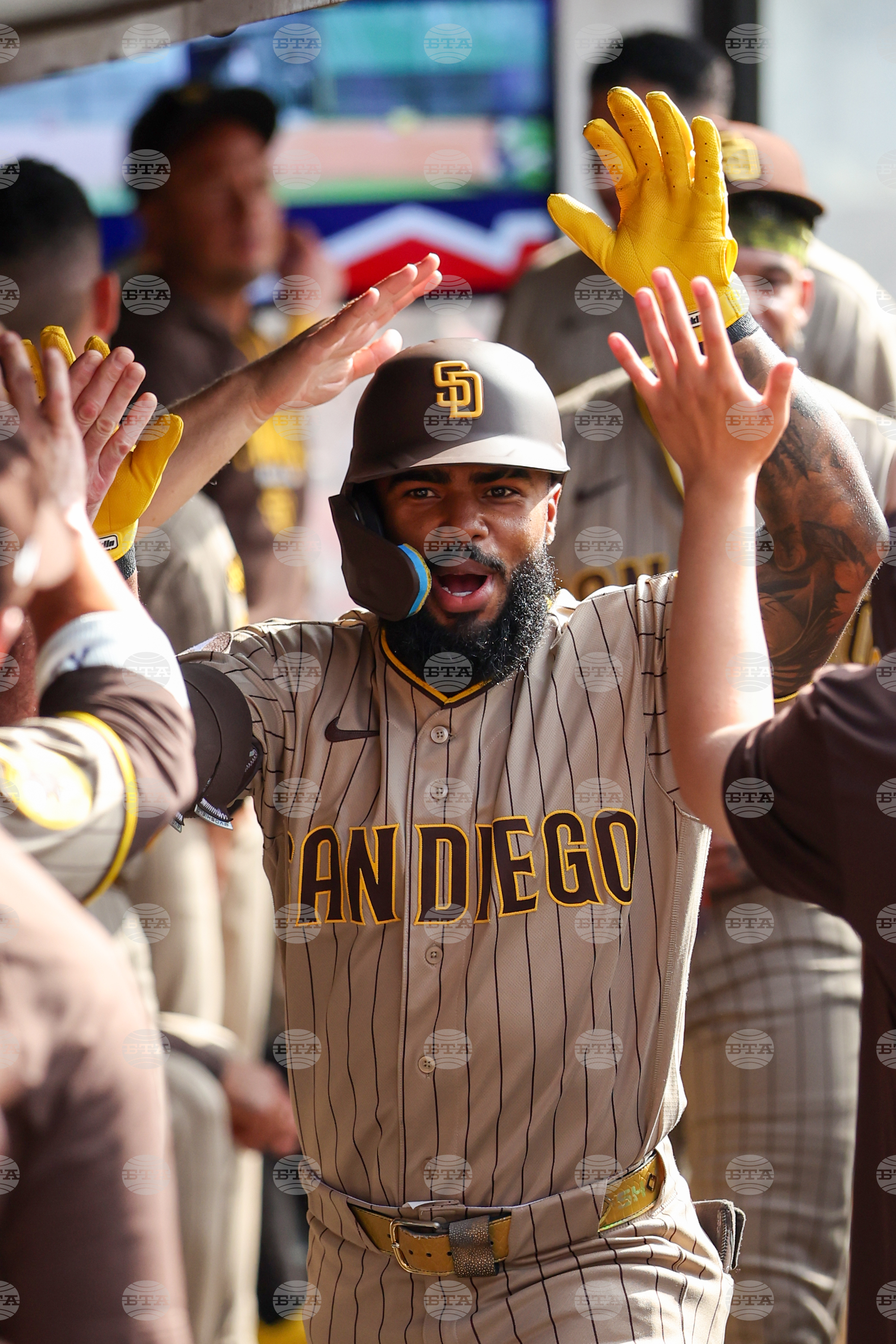 Padres Guardians Baseball