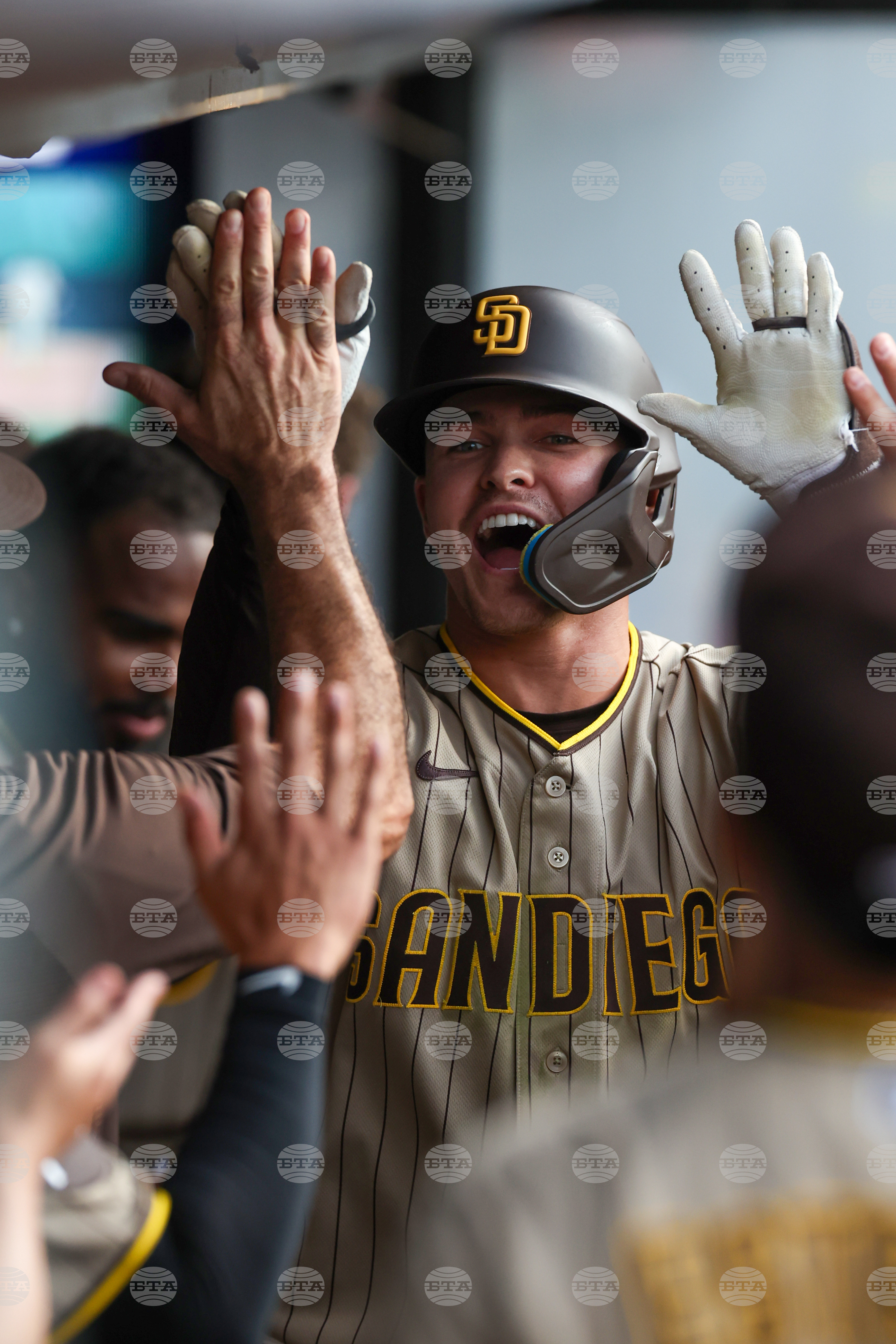 Padres Guardians Baseball