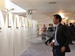 Снимка:  Цветелина Пенкова, евродепутат