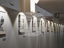 Снимка:  Цветелина Пенкова, евродепутат