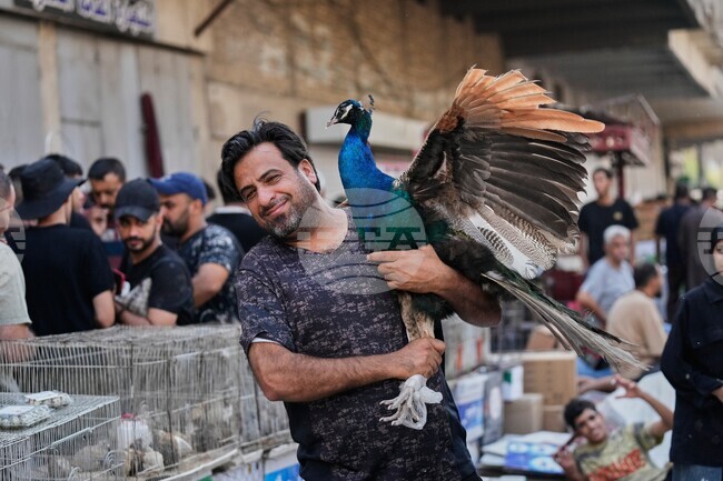APTOPIX Iraq Daily Life
