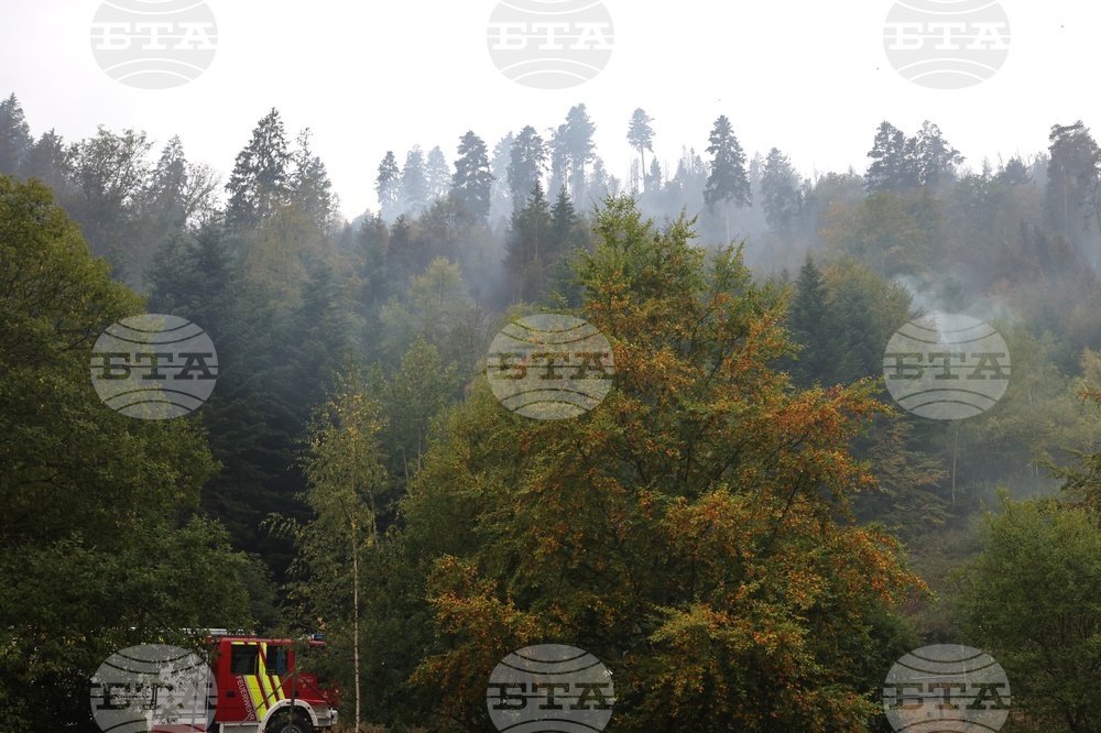 Germany Wildfires
