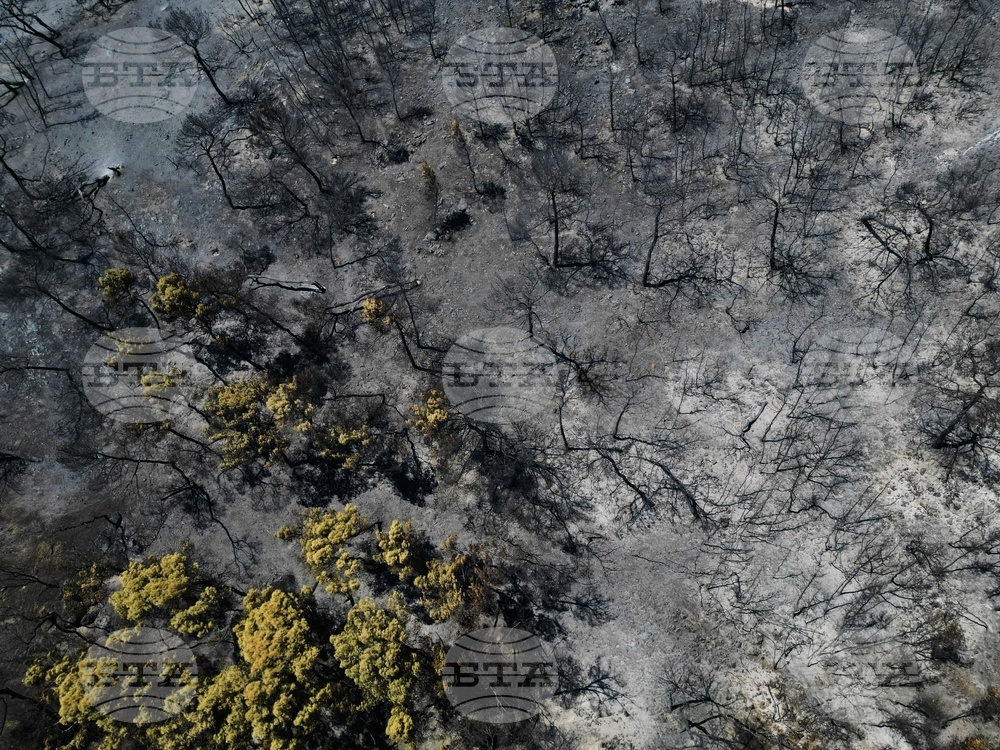 Greece Wildfires