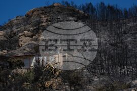 Greece Wildfires