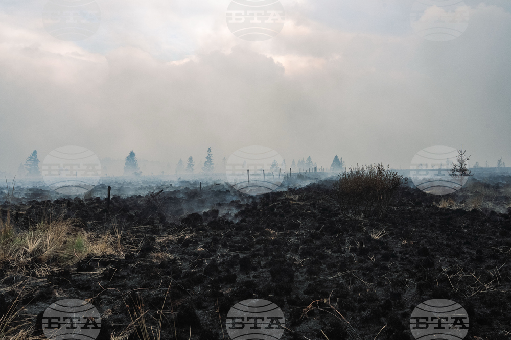 Belgium Wildfire