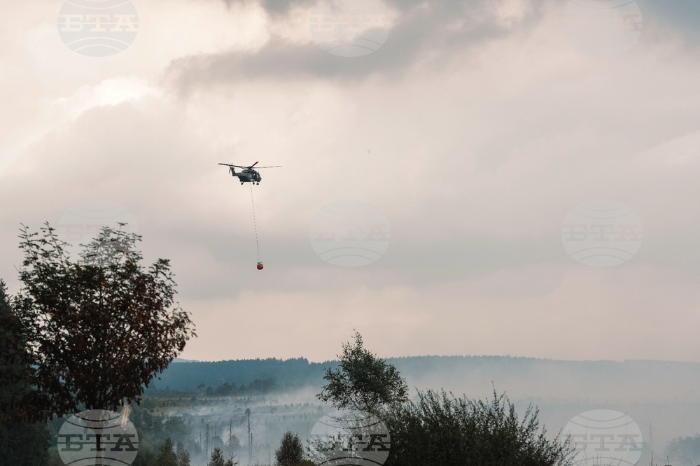 Belgium Wildfire