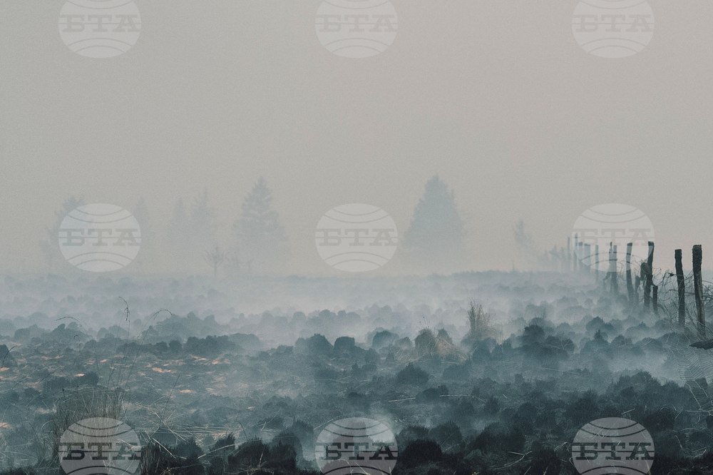 Belgium Wildfire