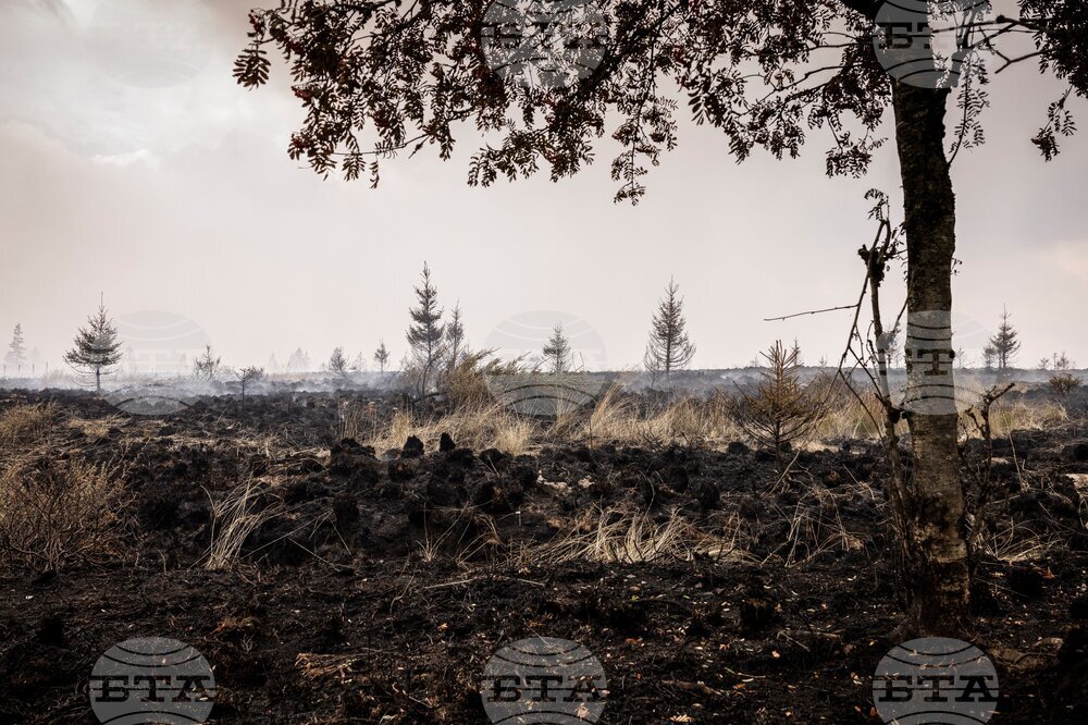 Belgium Wildfire
