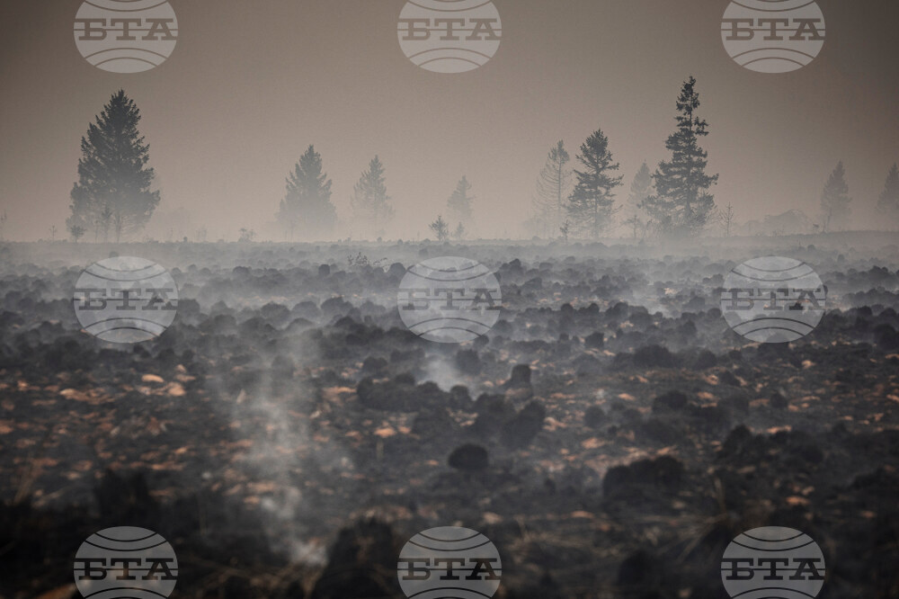Belgium Wildfire