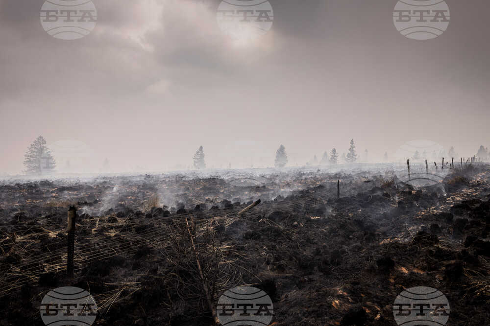 Belgium Wildfire