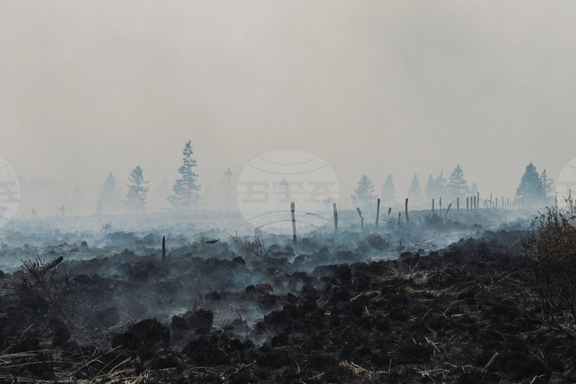 APTOPIX Belgium Wildfire