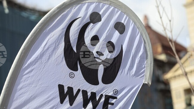 ХИНА: Природозащитната организация WWF започна кампания за насърчаване на отговорния избор на риба и морски дарове в Хърватия