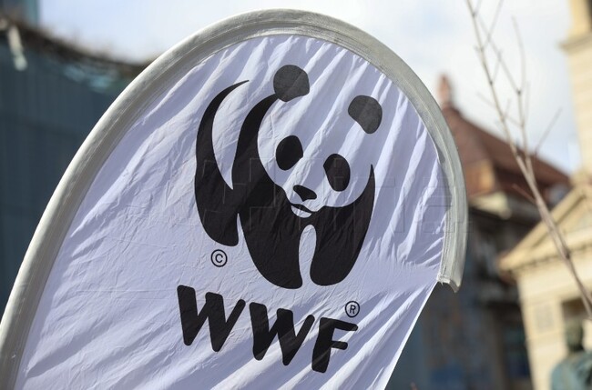 ХИНА: Природозащитната организация WWF започна кампания за насърчаване на отговорния избор на риба и морски дарове в Хърватия