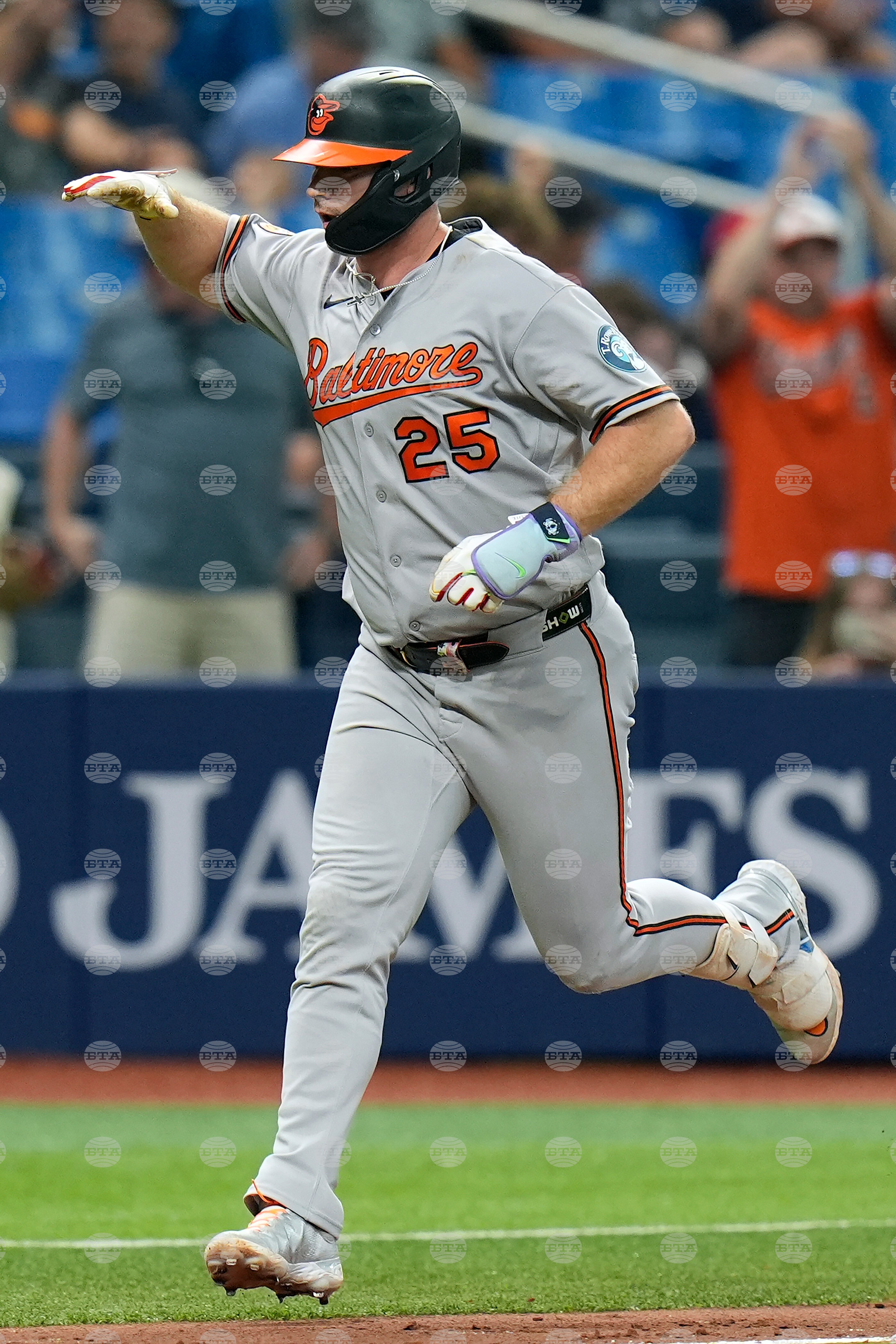 Orioles Rays Baseball