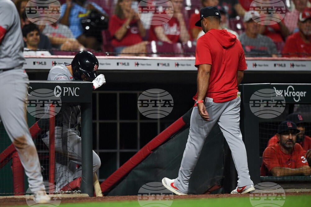 Cardinals Reds Baseball