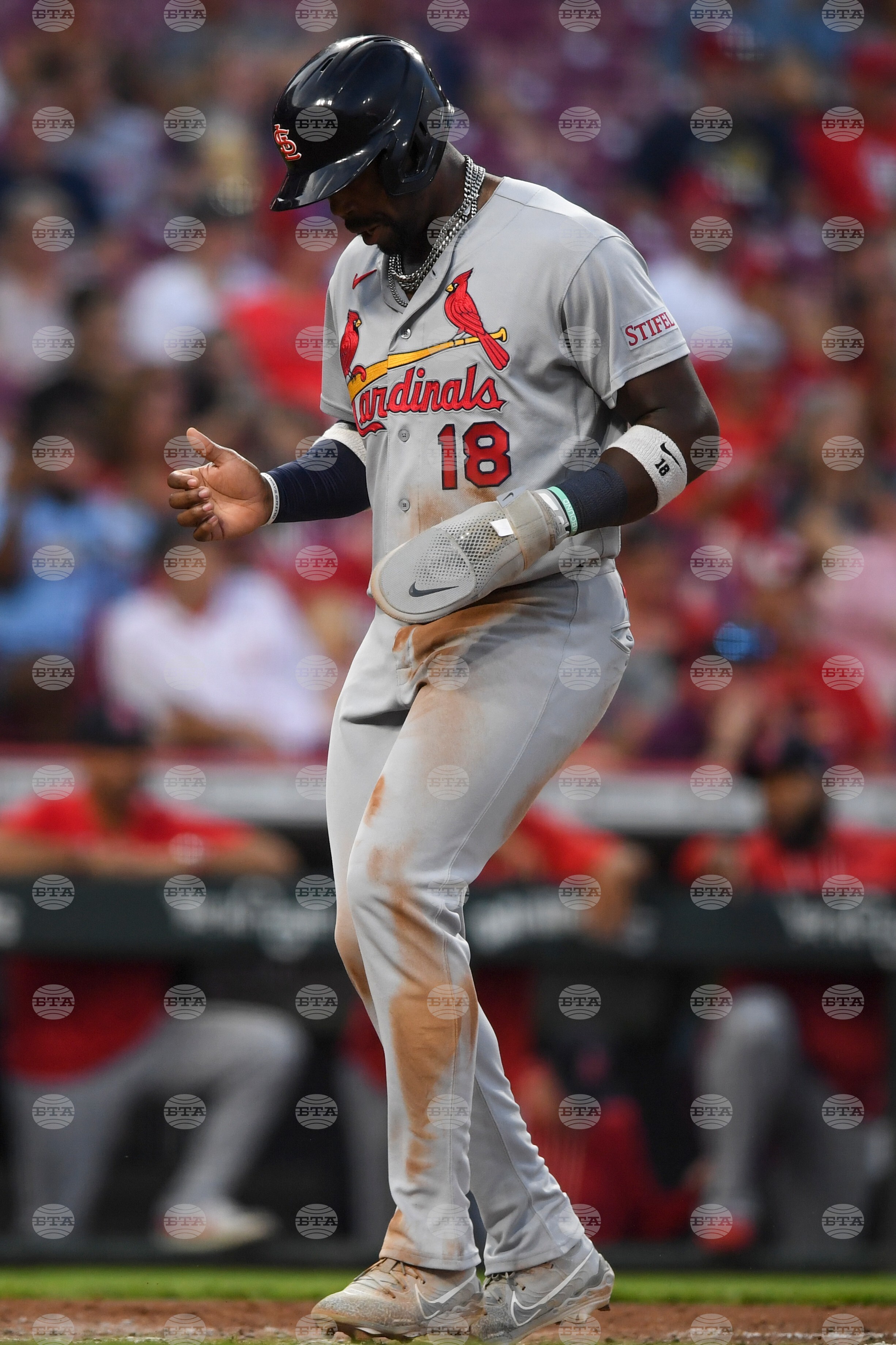 Cardinals Reds Baseball
