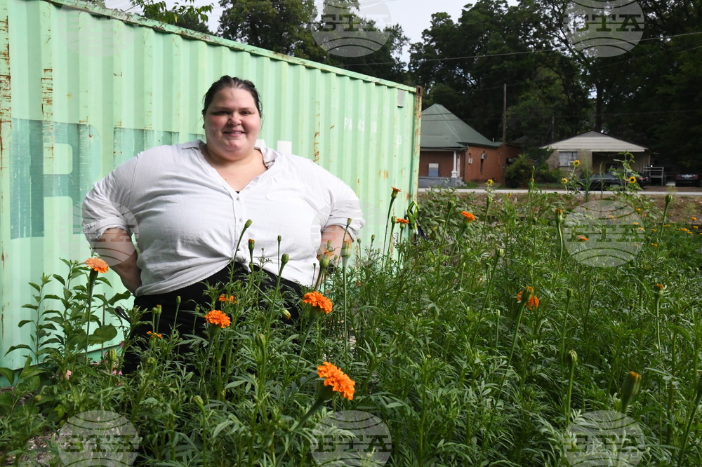 Gardening Crowdsourcing Flower Beds