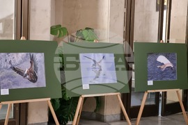 Ловеч - изложба - „Птиците на България през очите на един поляк“