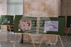 Ловеч - изложба - „Птиците на България през очите на един поляк“