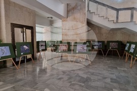 Ловеч - изложба - „Птиците на България през очите на един поляк“