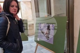 Ловеч - изложба - „Птиците на България през очите на един поляк“