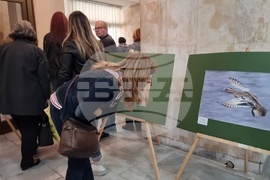 Ловеч - изложба - „Птиците на България през очите на един поляк“